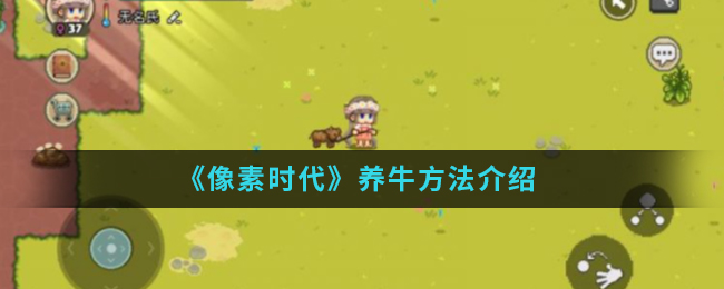 像素时代如何养头牛