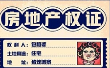 我是包租婆专业版