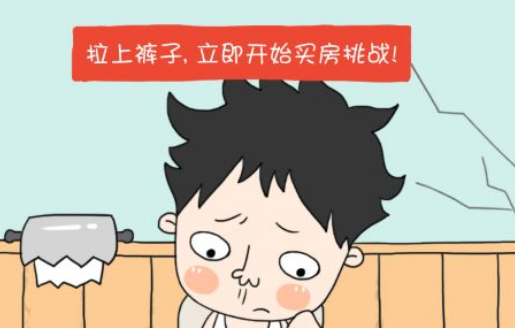 买房记纯净版