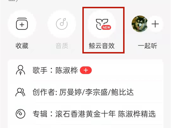 ipad网易云hd音效设置_怎么设置音效