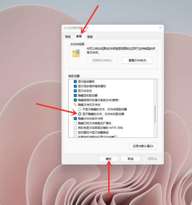 win11恢复隐藏文件的步骤教程