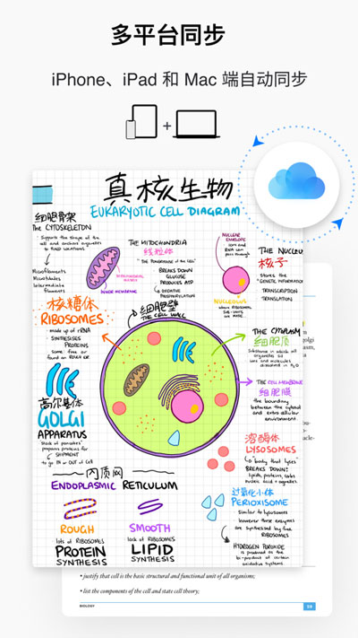 GoodNotes50元是永久吗