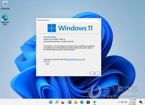 Windows11怎么设置下载路径