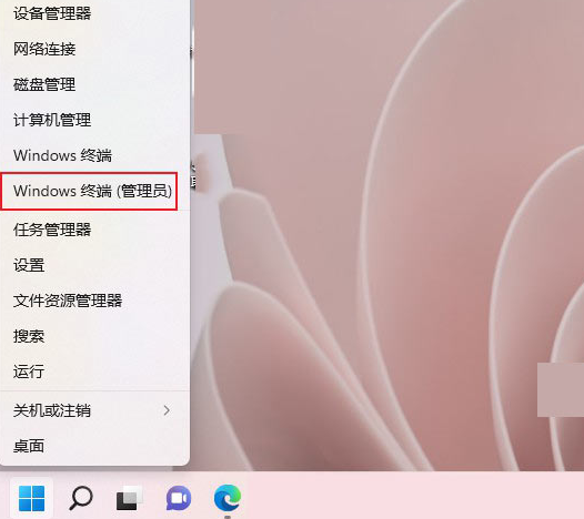 win11系统怎么打开命令提示符