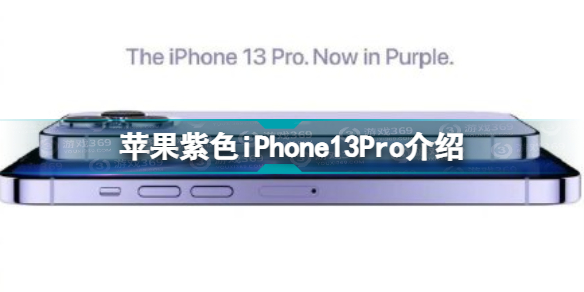 紫色iPhone13Pro怎么样 苹果紫色iPhone13Pro介绍