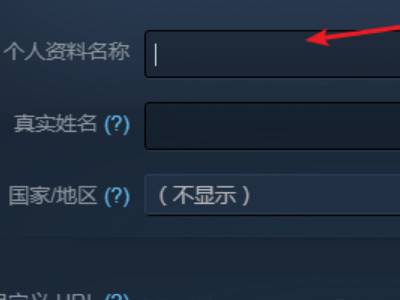 steam怎么修改账户名_steam如何修改账户名称