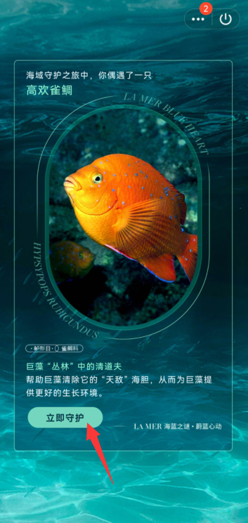 QQ守护海洋生物在哪参与(守护大自然爱护海洋生物)