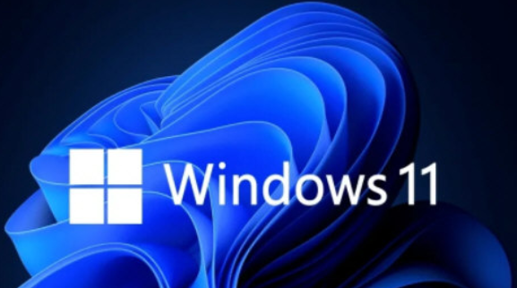 Windows11怎么看显卡功耗(Windows11怎么看配置)