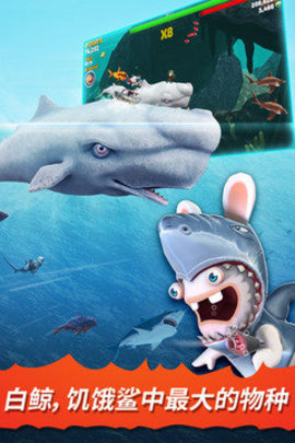 饥饿鲨：进化最新版