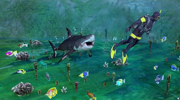 鲨鱼猎手模拟器