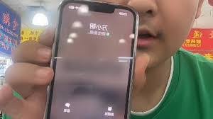 iPhone如何开启CallKit