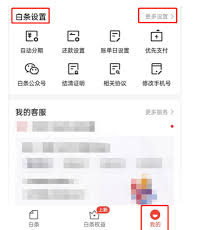 京东白条是什么意思如何关闭