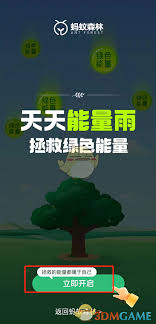 支付宝能量雨在哪