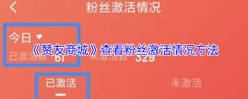 赞友商城怎么查看激活记录